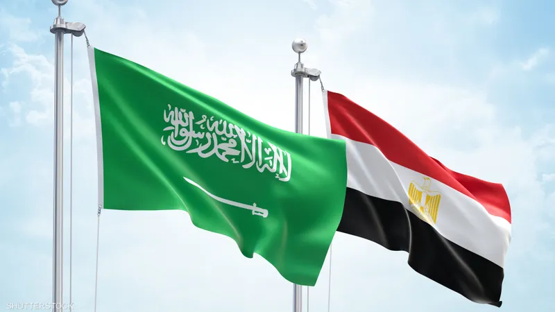 دليلك الشامل لتفاصيل الدراسة في مصر.. فرص عديدة بانتظارك