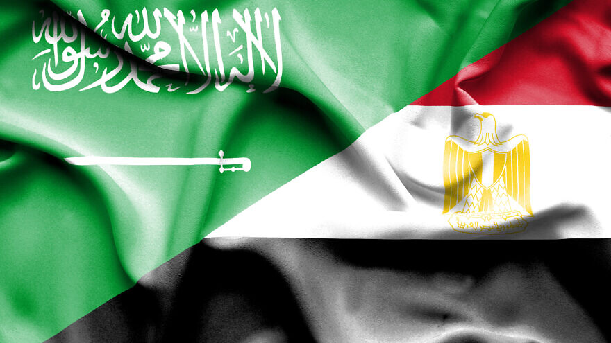 شروط وقواعد دراسة الزمالة المصرية في طب الأسنان 2026