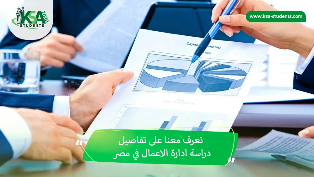 دراسة ادارة الاعمال في مصر
