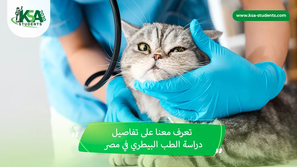 دراسة الطب البيطري في مصر