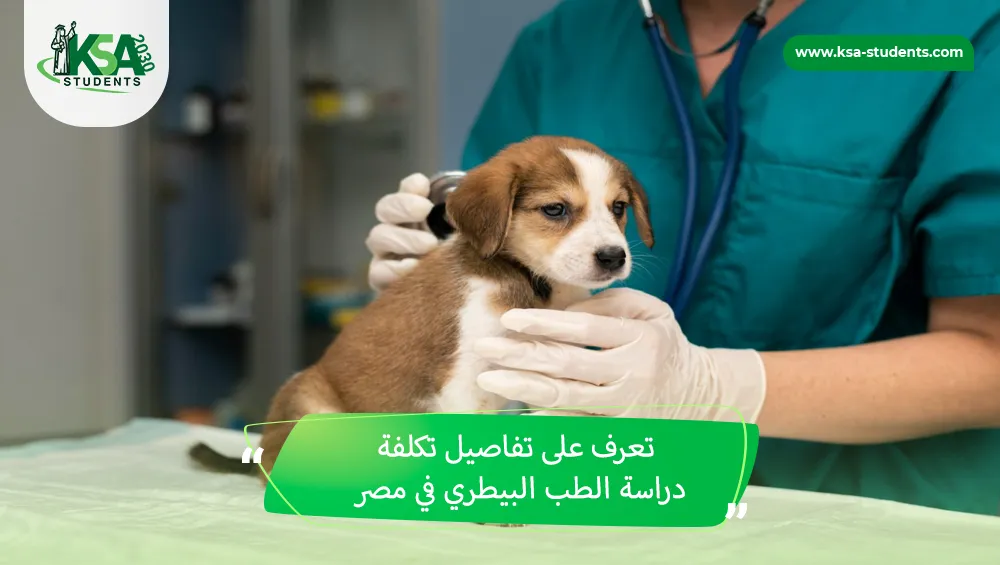 تكلفة دراسة الطب البيطري في مصر
