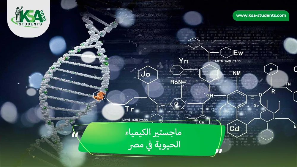 ماجستير الموارد البشرية في مصر