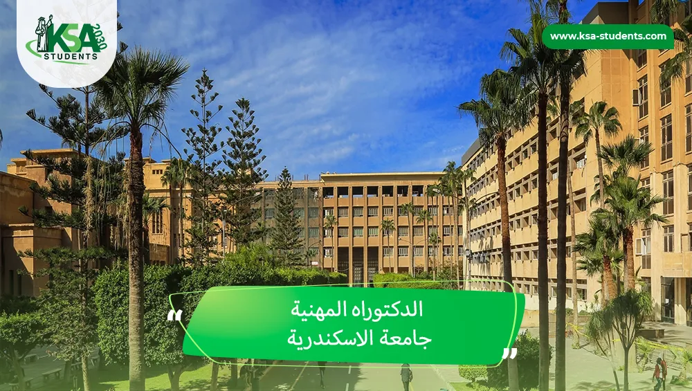 الدكتوراه المهنية جامعة الاسكندرية