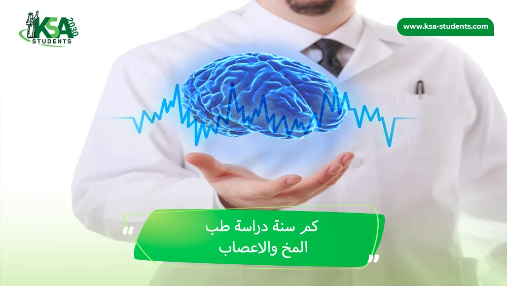 كم سنة دراسة طب المخ والاعصاب